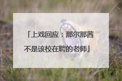 上戏回应：那尔那茜不是该校在聘的老师
