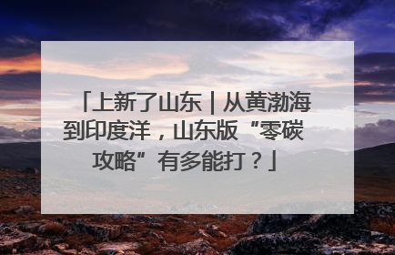 上新了山东｜从黄渤海到印度洋，山东版“零碳攻略”有多能打？