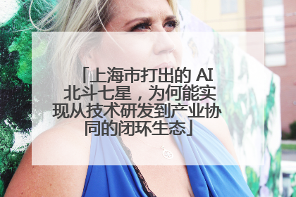 上海市打出的 AI 北斗七星，为何能实现从技术研发到产业协同的闭环生态