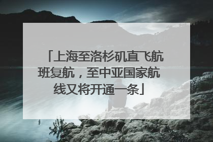 上海至洛杉矶直飞航班复航，至中亚国家航线又将开通一条