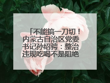 不能搞一刀切！内蒙古自治区党委书记孙绍骋：整治违规吃喝不是阻绝正常人际交往、黯淡人间烟火