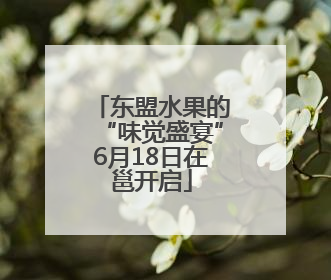 东盟水果的“味觉盛宴”6月18日在邕开启