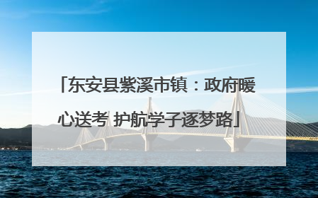 东安县紫溪市镇：政府暖心送考 护航学子逐梦路
