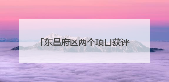 东昌府区两个项目获评“聊城市2024年度法治为民实事”项目