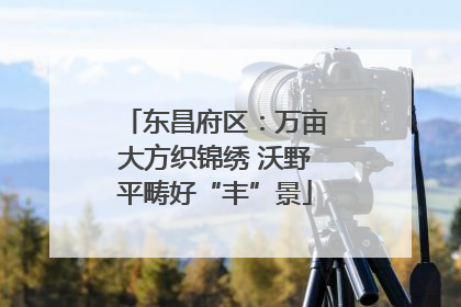 东昌府区：万亩大方织锦绣 沃野平畴好“丰”景