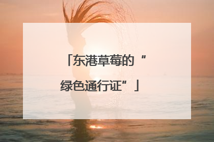 东港草莓的“绿色通行证”