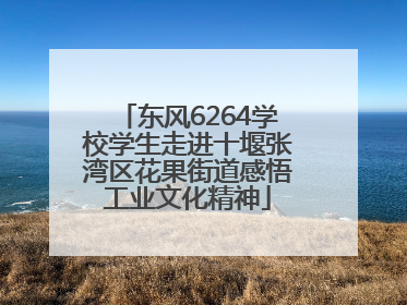 东风6264学校学生走进十堰张湾区花果街道感悟工业文化精神