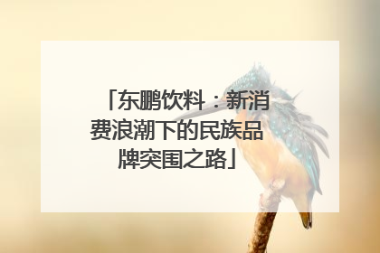 东鹏饮料：新消费浪潮下的民族品牌突围之路