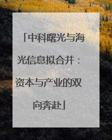 中科曙光与海光信息拟合并：资本与产业的双向奔赴