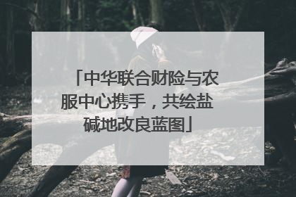 中华联合财险与农服中心携手，共绘盐碱地改良蓝图