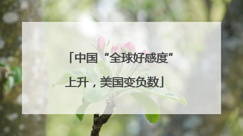 中国“全球好感度”上升，美国变负数