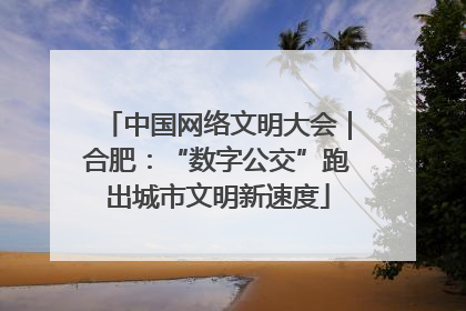 中国网络文明大会｜合肥：“数字公交”跑出城市文明新速度