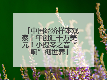 中国经济样本观察丨年创汇千万美元！小提琴之音“响”彻世界