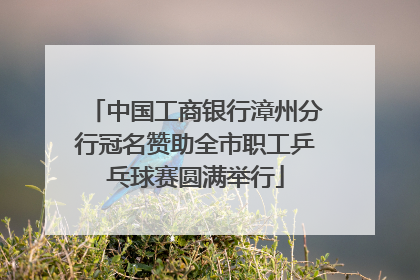 中国工商银行漳州分行冠名赞助全市职工乒乓球赛圆满举行