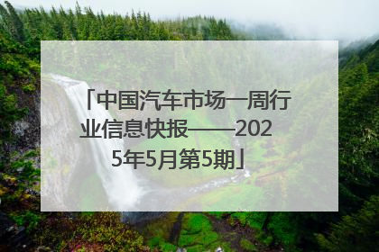 中国汽车市场一周行业信息快报——2025年5月第5期