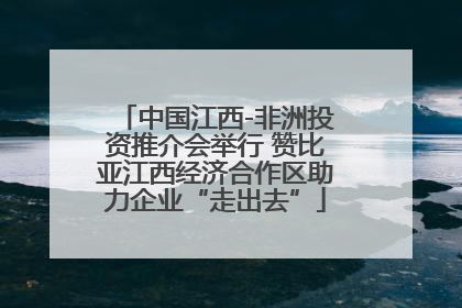 中国江西-非洲投资推介会举行 赞比亚江西经济合作区助力企业“走出去”