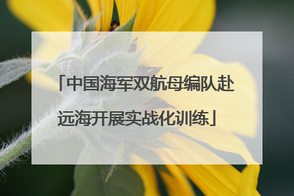 中国海军双航母编队赴远海开展实战化训练