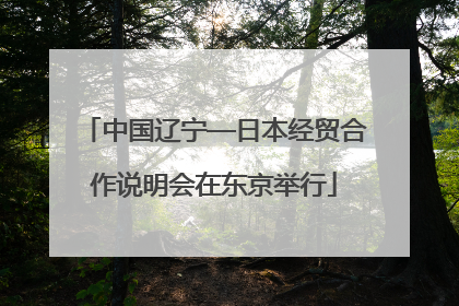 中国辽宁—日本经贸合作说明会在东京举行