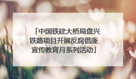 中国铁建大桥局盘兴铁路项目开展反腐倡廉宣传教育月系列活动