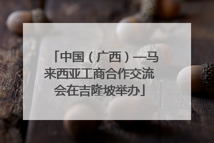中国（广西）—马来西亚工商合作交流会在吉隆坡举办