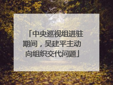 中央巡视组进驻期间，吴建平主动向组织交代问题