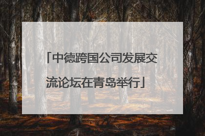 中德跨国公司发展交流论坛在青岛举行