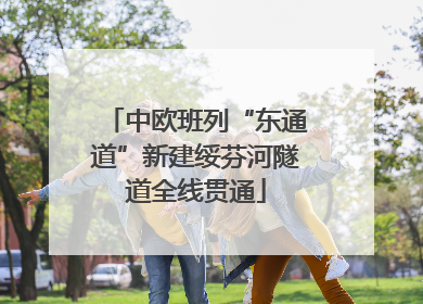中欧班列“东通道”新建绥芬河隧道全线贯通