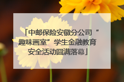 中邮保险安徽分公司“趣味画室”学生金融教育安全活动圆满落幕