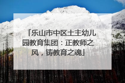 乐山市中区土主幼儿园教育集团：正教师之风，铸教育之魂