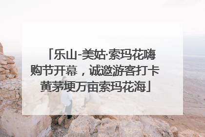 乐山-美姑·索玛花嗨购节开幕，诚邀游客打卡黄茅埂万亩索玛花海