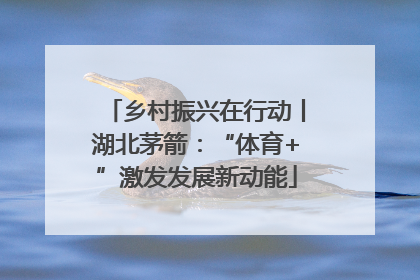 乡村振兴在行动丨湖北茅箭：“体育+”激发发展新动能