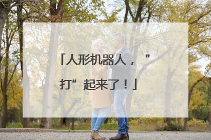 人形机器人，“打”起来了！