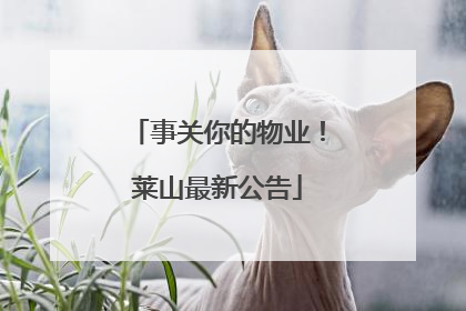 事关你的物业！莱山最新公告