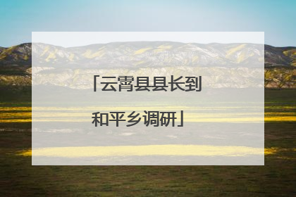云霄县县长到和平乡调研