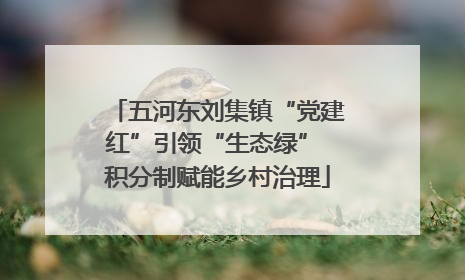 五河东刘集镇“党建红”引领“生态绿” 积分制赋能乡村治理