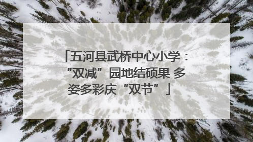 五河县武桥中心小学：“双减”园地结硕果 多姿多彩庆“双节”