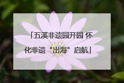 五溪非遗园开园 怀化非遗“出海”启航