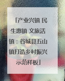 产业兴镇 民生惠镇 文旅活镇：谷城县五山镇打造乡村振兴示范样板