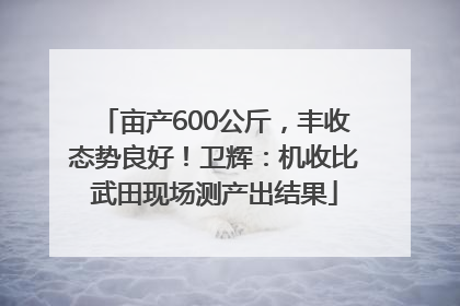 亩产600公斤，丰收态势良好！卫辉：机收比武田现场测产出结果