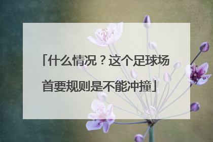 什么情况？这个足球场首要规则是不能冲撞