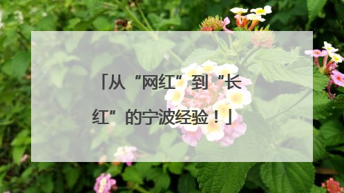 从“网红”到“长红”的宁波经验！