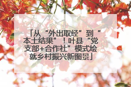 从“外出取经”到“本土结果”！叶县“党支部+合作社”模式绘就乡村振兴新图景
