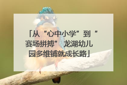 从“心中小学”到“赛场拼搏” 龙湖幼儿园多维铺就成长路