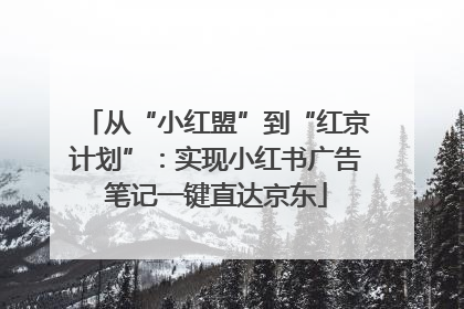 从“小红盟”到“红京计划”：实现小红书广告笔记一键直达京东