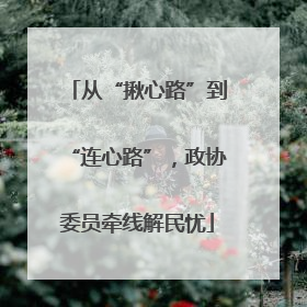 从“揪心路”到“连心路”，政协委员牵线解民忧