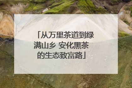 从万里茶道到绿满山乡 安化黑茶的生态致富路
