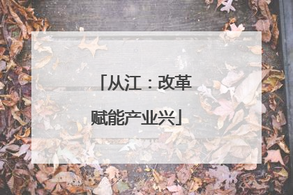 从江：改革赋能产业兴