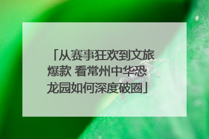 从赛事狂欢到文旅爆款 看常州中华恐龙园如何深度破圈