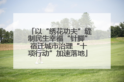 以“绣花功夫”缝制民生幸福“针脚” 宿迁城市治理“十项行动”加速落地