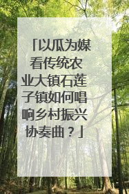 以瓜为媒 看传统农业大镇石莲子镇如何唱响乡村振兴协奏曲？